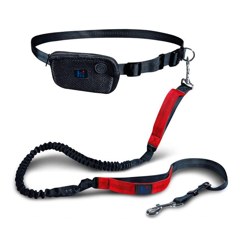 Premium Hands Free Adjustable Length Dual Handle Bungee Leash for Medium Large Dogs with Neoprene Padded Handles