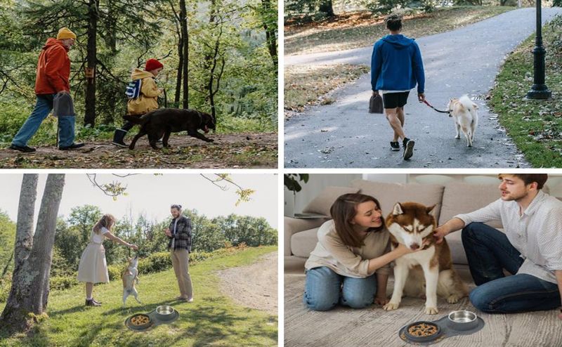 Dog No Spill Silicone Mat Puzzle Feeding Stainless Steel Bowl