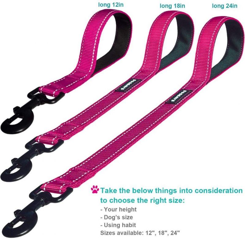 Reflective Threads Pet Leashes for Large Big Dogs and Medium Dogs