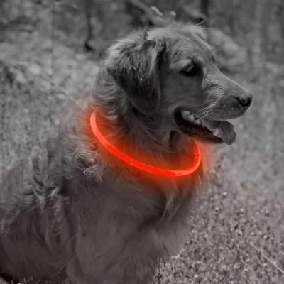 Spupps Orange Color TPU Light up LED Dog Collars for Small Medium Large Dogs