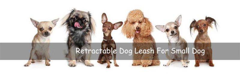 10 FT Retractable Dog Leash Bling Smooth Retracting Pet Extendable Lead for Small Medium Breed