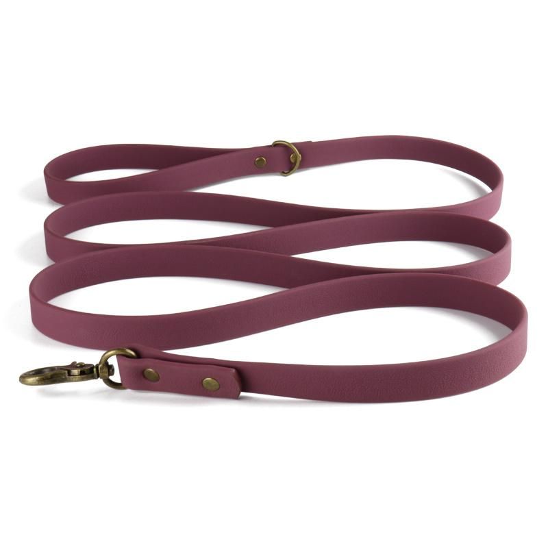 Pet Products Supply Dog Collars Trending Amazon New Custom Metal Buckle PVC Coated Webbing Dog Collar Leash Set