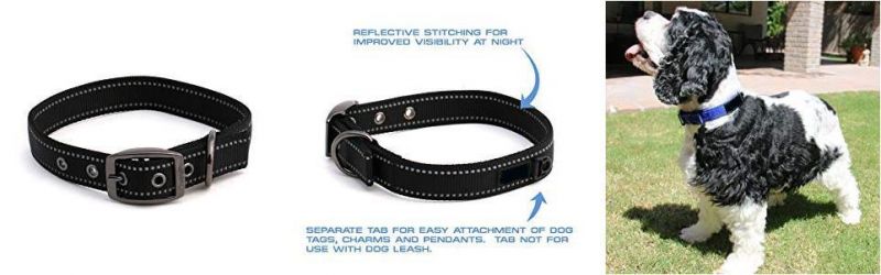Reflective Metal Buckle Dog Collar Double Layers Martingale Collar