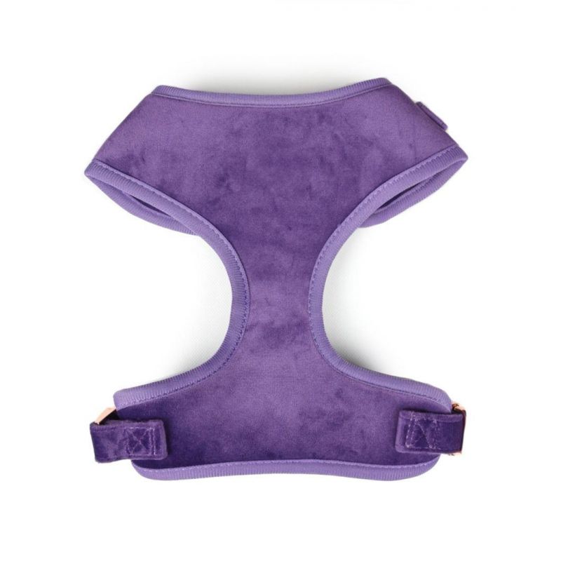 Pet Supplies Custom Velvet Dog Harness and Leash Luxury with Metal Buckle Recycled Cotton Eco Friendly Arnes PARA Perros Vest