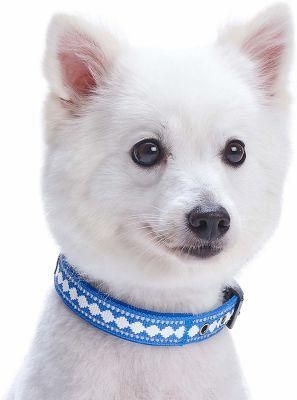 Diamond Pattern Polyester Webbing Personalized Dog Collars