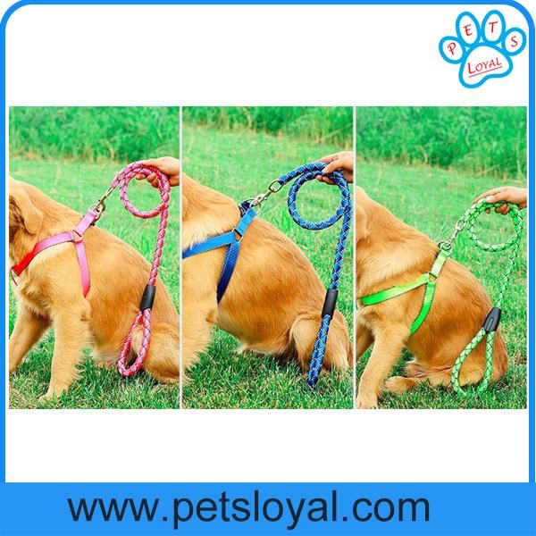 Factory Wholesale Cheap Nylon Colorful Pet Harness Dog Leash