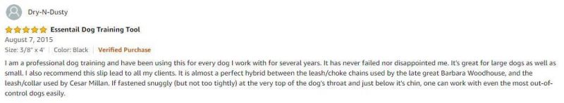 British-Style Dog Slip Lead 2 in 1 Dog Leash
