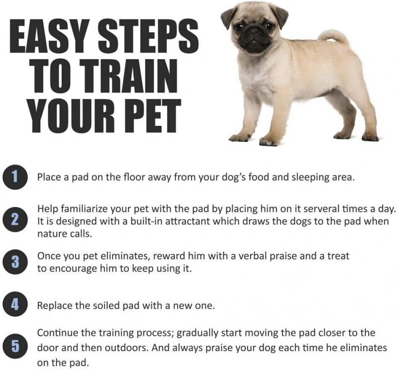Pet Training Supplies Waterproof Puppy Under Pad Pet Mat Diaper Dog PEE Training Pad