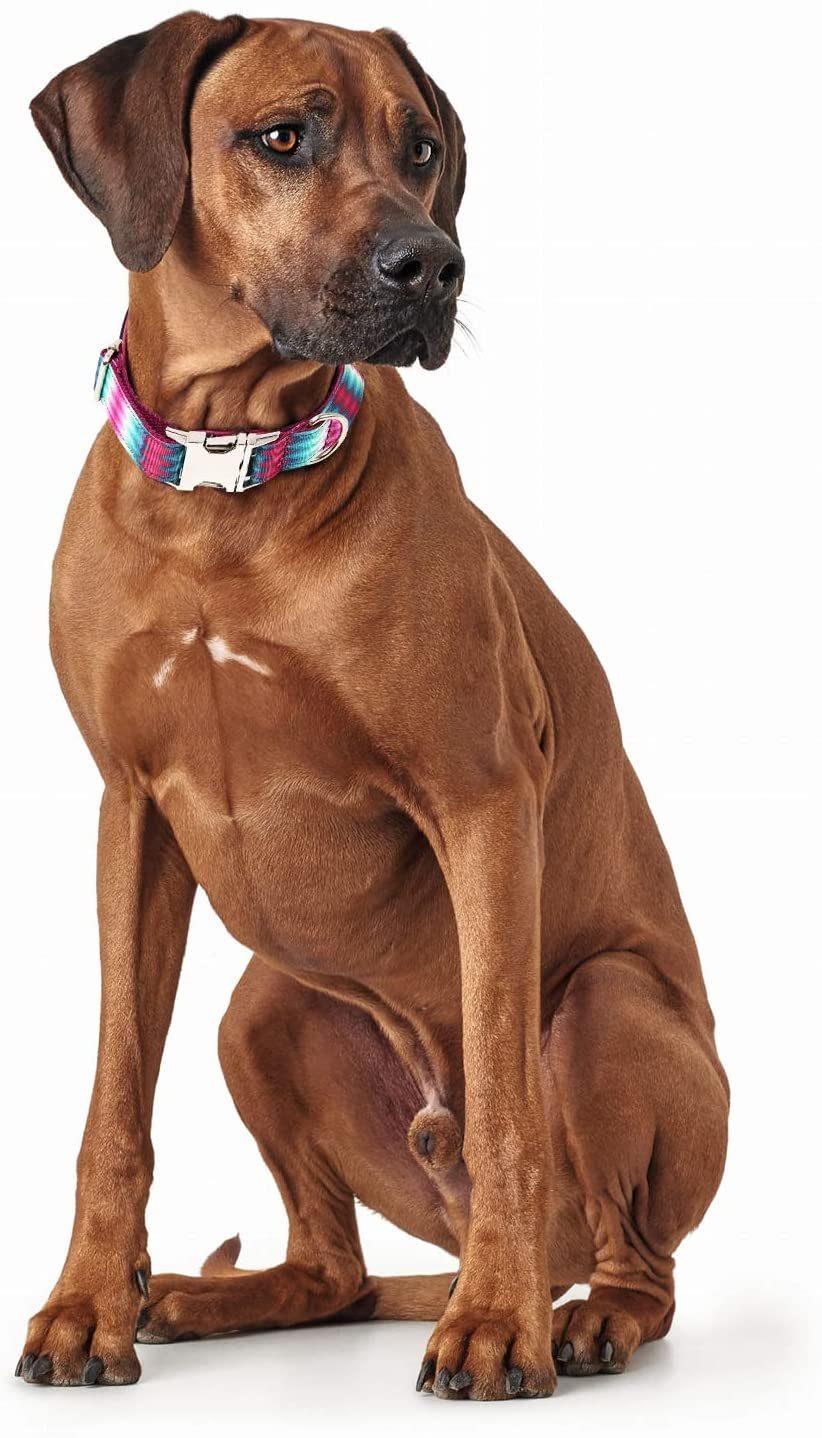 Unique Style Flower Print Adjustable Soft Dog Western Collars