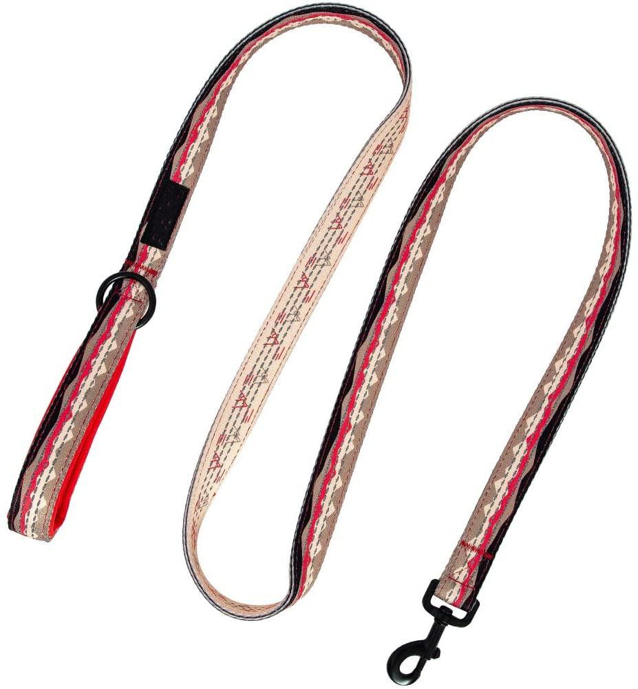 Highly Visible Reflective Webbing Soft Padded Dog Leash for Large Dog