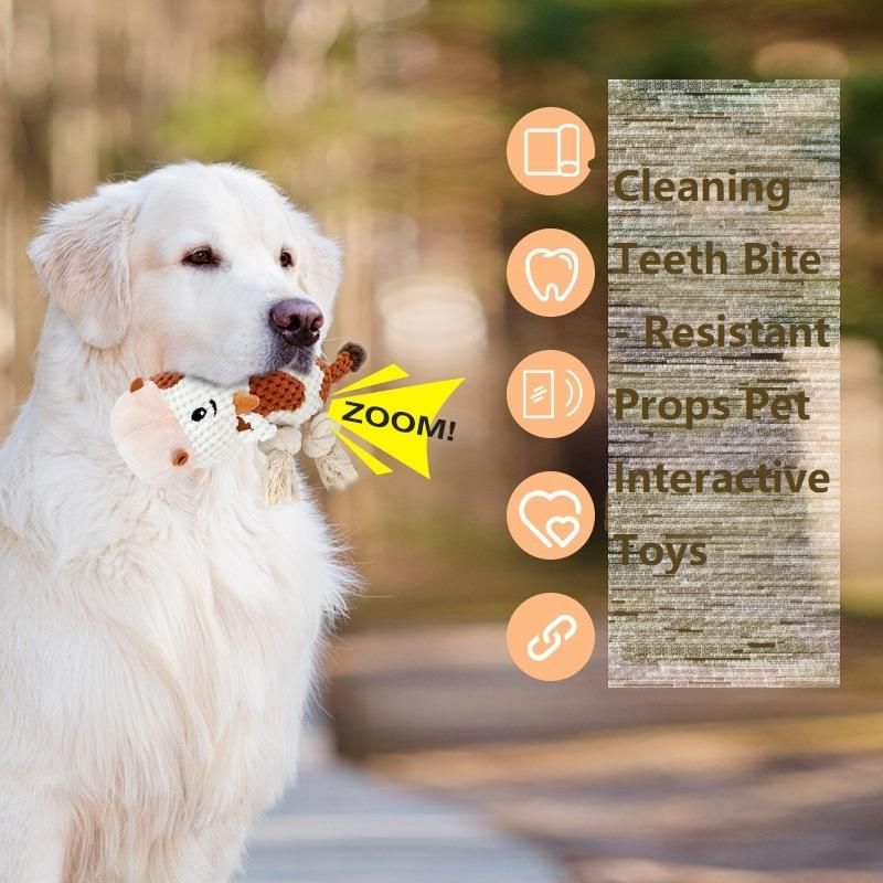 Collection Plush Pet Dog Toys Soft Plush Pet Supply