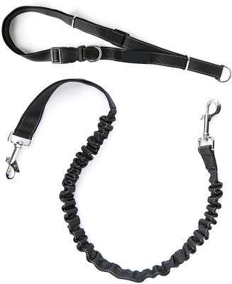 Hands Free Dog Leash, Premium Running Dog Leash