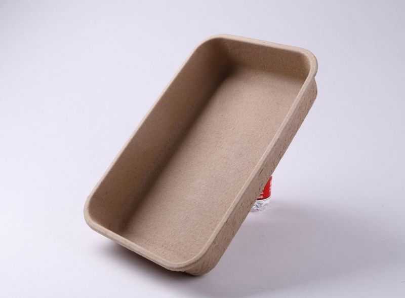 Eco Friendly Pet Cat Meal Box, Molded Pulp Tray