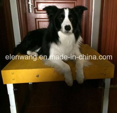Pet Dog Jump Table