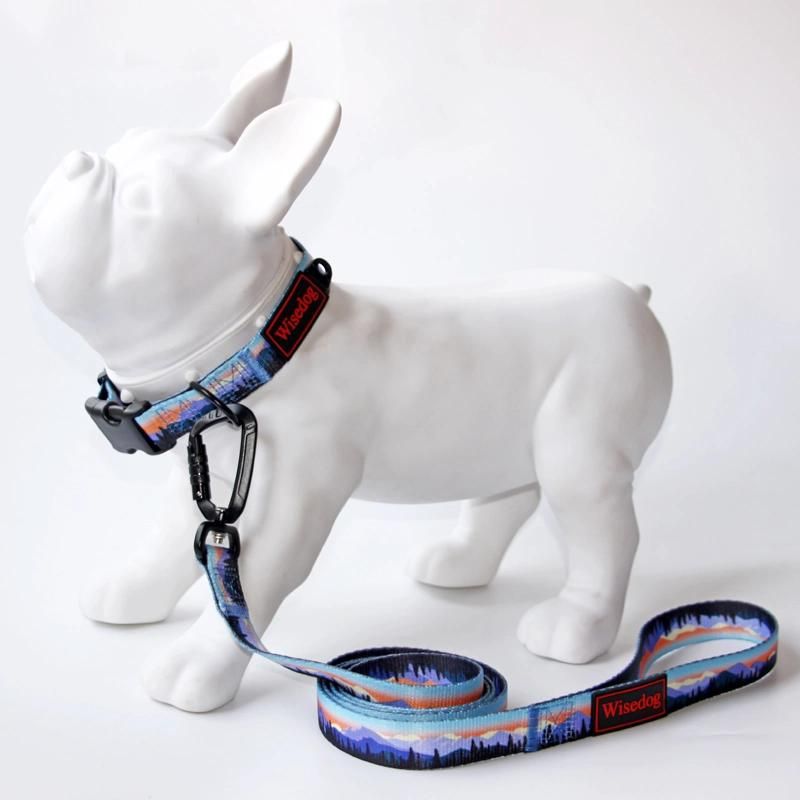 Soft Lightweight Comfortable Pattern Nylon Pet Dog Collar and Leash