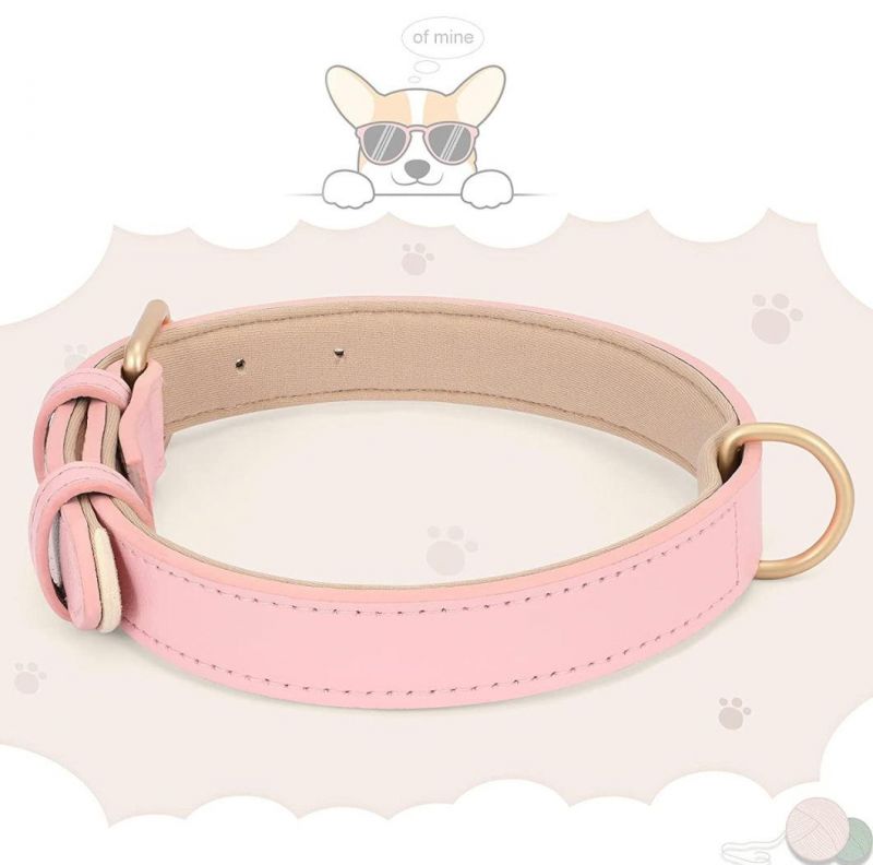 Adjustable Soft Breathable Leather Padded Puppy Collar with Alloy Buckle