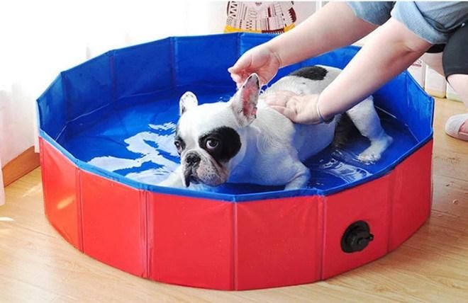 Customized Add Logo Collapsible Pet Dog Bath Pool/ Kiddie Pool Hard Plastic Foldable Bathing Tub PVC Outdoor Pools for Dogs Cat Kids