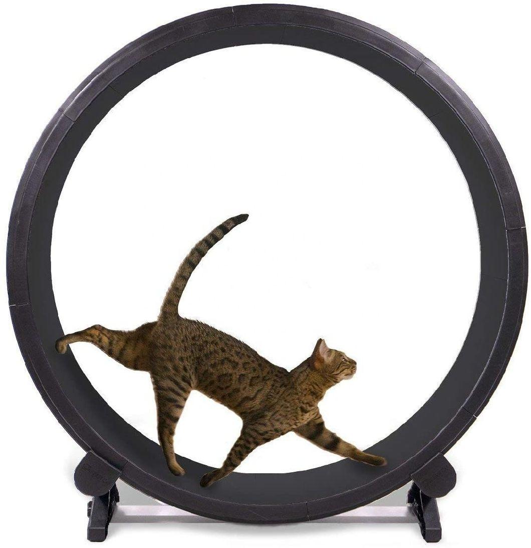 Wholesale Wooden Pet Supplies Toy Pet Cat Exercise Wheel