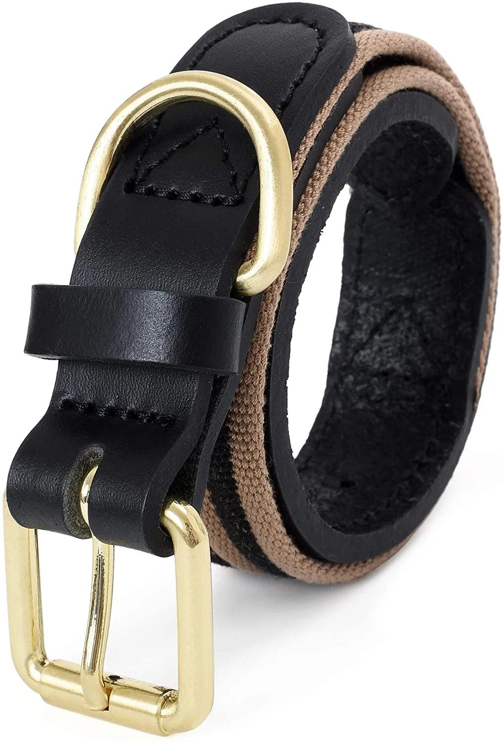 Canvas Dog Collar with Zinc Alloy Pin Buckle Ring Dog Collar