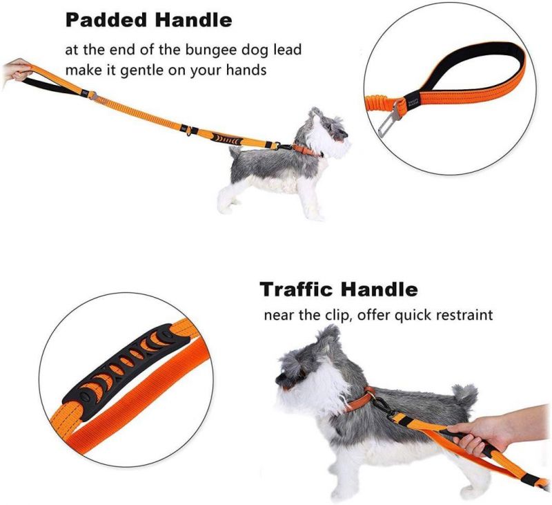 Heavy Duty Dog Leash Especially for Large Dogs up to 150lbs