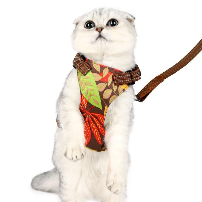 Wholesale Pet Harness Security Safety Engine Wiring Adjustable Cat Costume Dog Harness and Leash