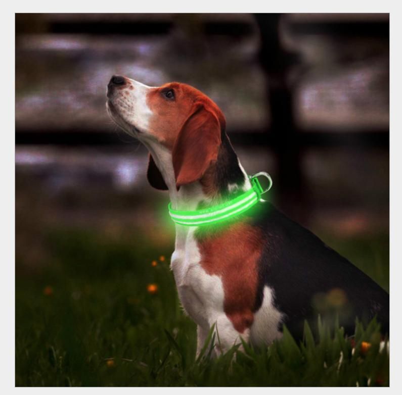 USB Rechargeable Flashing LED Nylon Safety Dog Collar