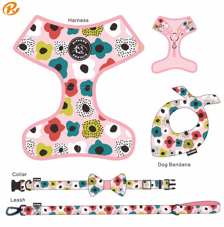 OEM Accept Adjustable Dog Collar Leash and Reversible Harness Set with Dog Bowtie Dog Pool Bag & Bandana