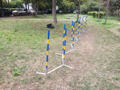 Dog Agility Training Pole Slalom with Multi Function