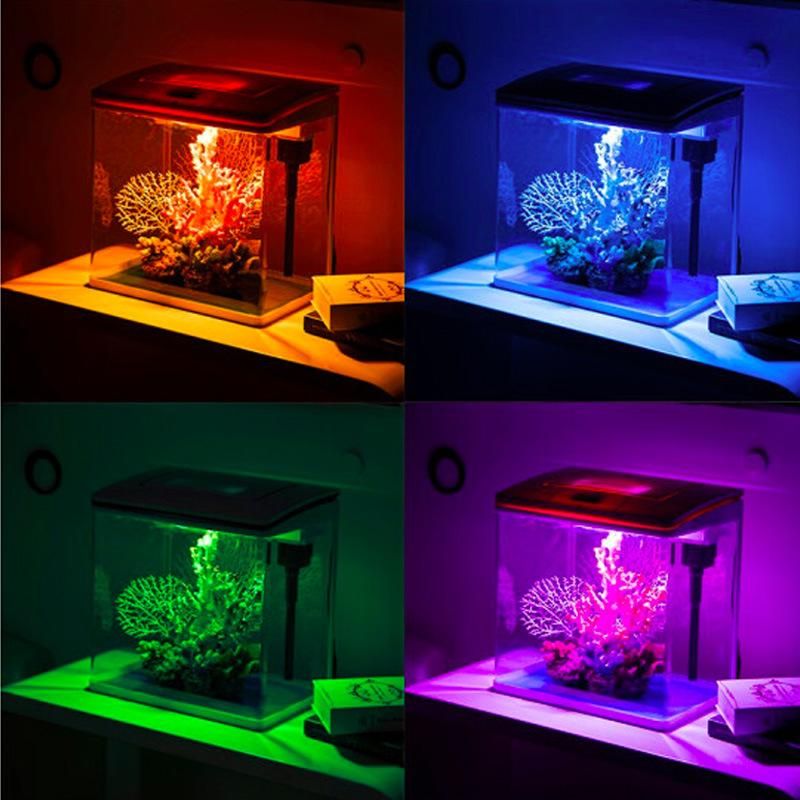 10-Gallon Aquarium Tank Kit with Power Filter and Light