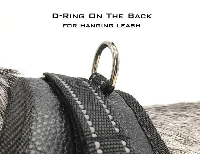 Adjustable No Pull Soft Reflective Lightweight Portable Leather Pet Accessories