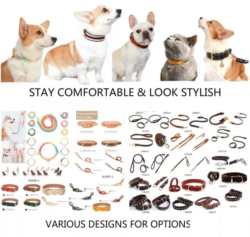 Cute Pearl Adjustable Collar Cat Rabbit Dogs Tag Necklaces Pendants for Women Bow Pet Accessories