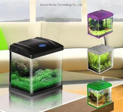 Wholesale Decorative Mini Glass Aquarium Tank with T5 Light