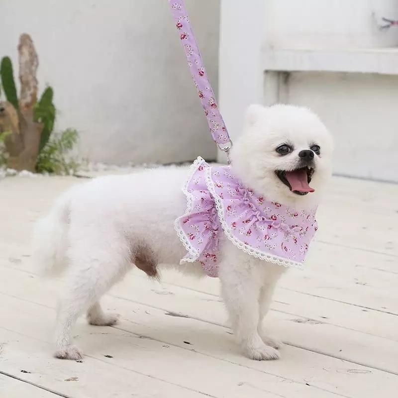 Lovely Small Flower Adjustable Portable Pet Harness and Leash Set