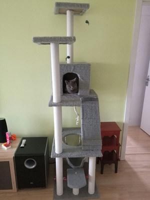 Wholesale Sisal Castle Modern Large Big Climbing Scratch Pet Scratcher Wood Condo Furniture Tower Cat Tree House