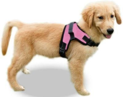 Comfortable Sponge Filled Anti Pull Mesh Dog Harness