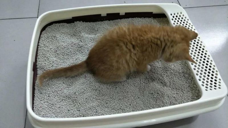 Ball Bentonite Clumpling Cat Litter
