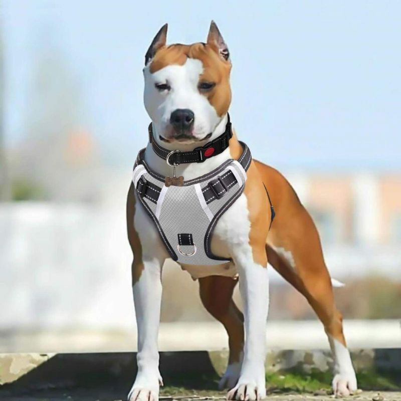 Waterproof Reflective Dog Harness with Strong Handle