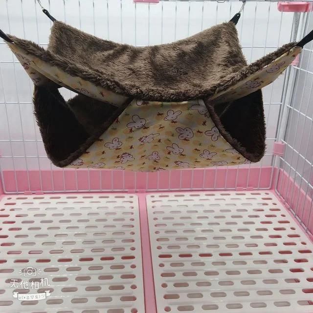 Luxurious Pet Bird and Pet Hammock Room