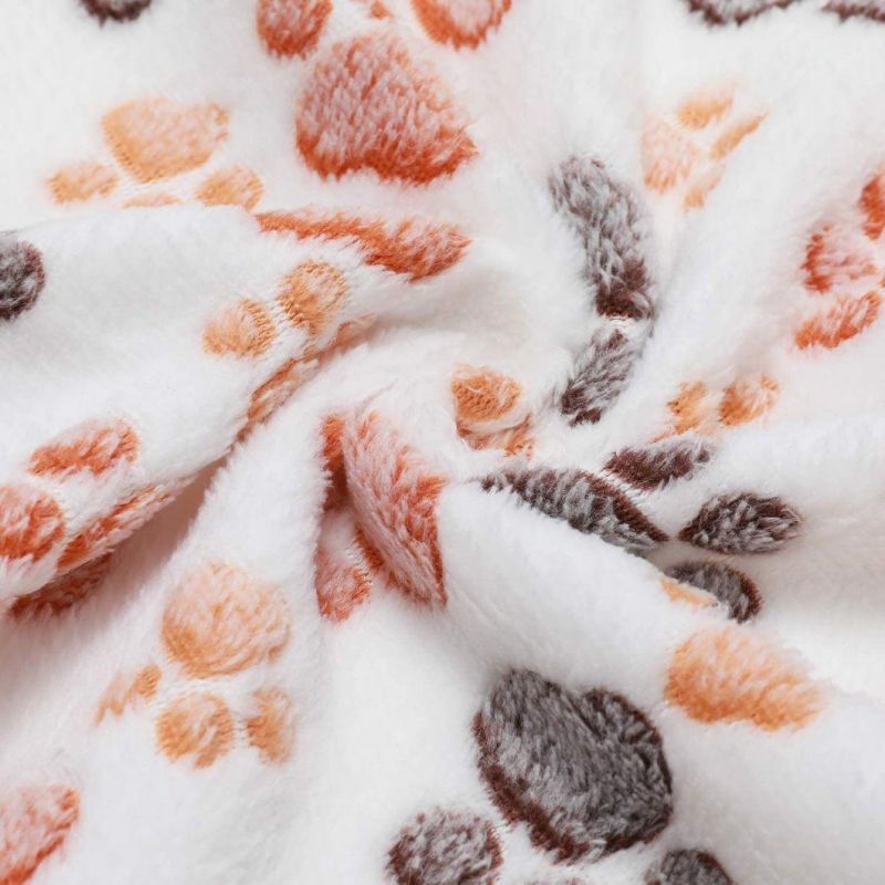 100% Double-Sided Coral Velvet Textures Soft Comfortable Pet Blanket
