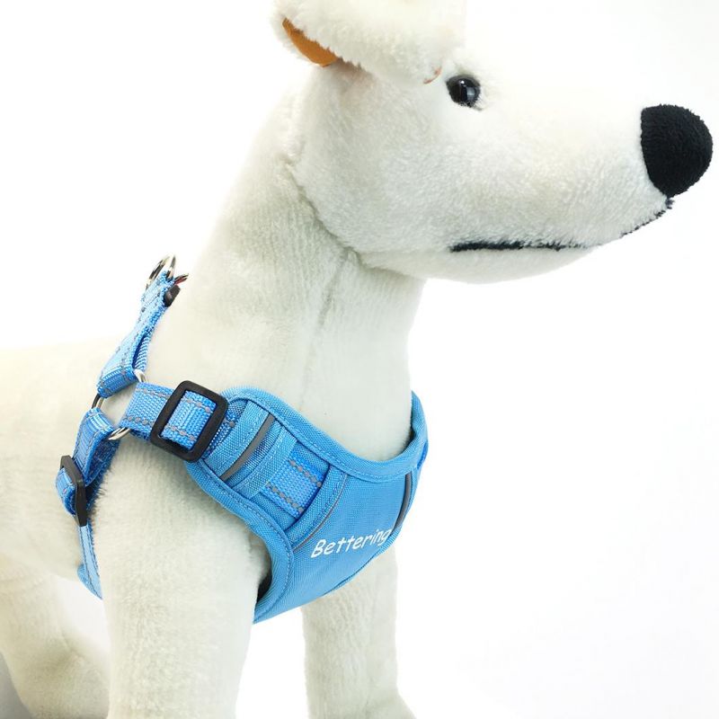 2022 Wholesale Custom Adjutable Reflective Breathable Outdoor Pet Harness Dog Training Vest