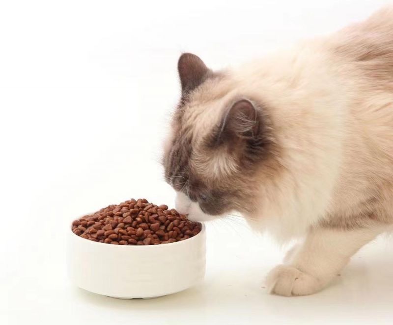 Good Palatability All Aged Cat Dry Food Easy to Digest