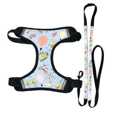 2020 Adjustable Dog Harness and Leash with Handle