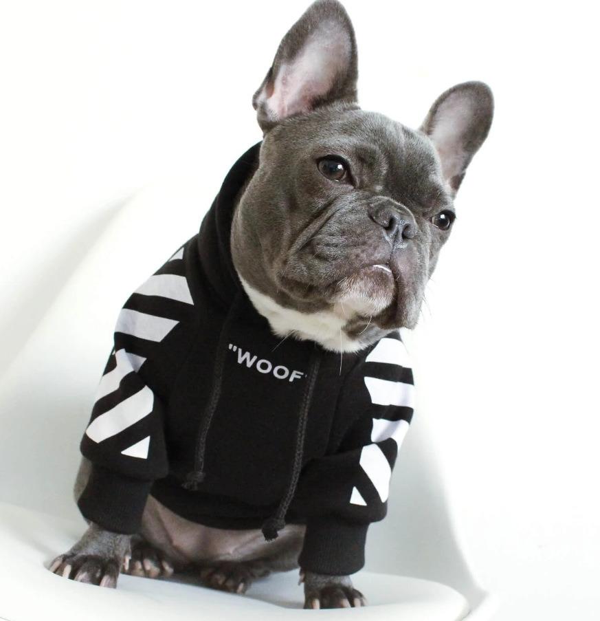 Fashion Now Product Corgi, Polyester Pet Dog Hoodie Winter Sports Dog Clothes