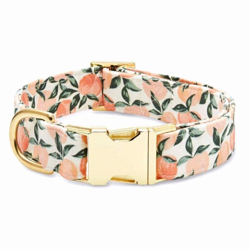 Factory Wholesales Pet Accessories Custom Vest Dog Harness Dog Leash Pet Collars Set