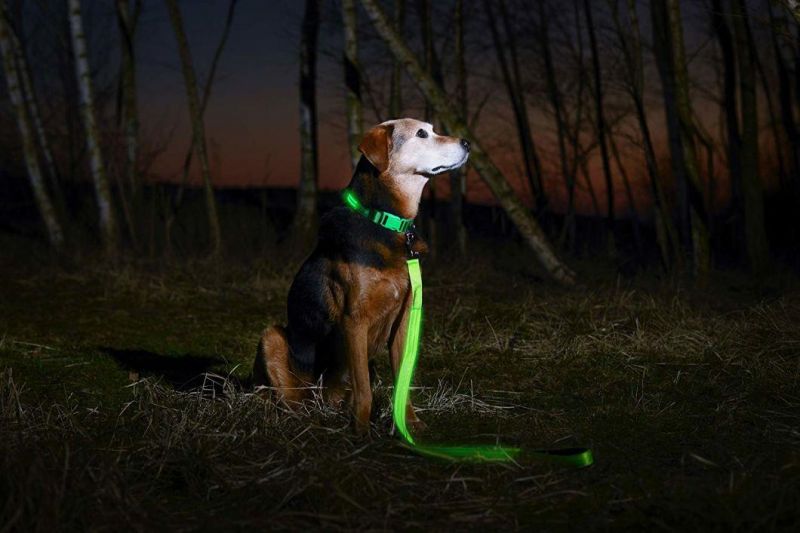 LED Dog Collar USB Rechargeable - Available in 6 Colors & 6 Sizes - Makes Your Dog Visible, Safe & Seen