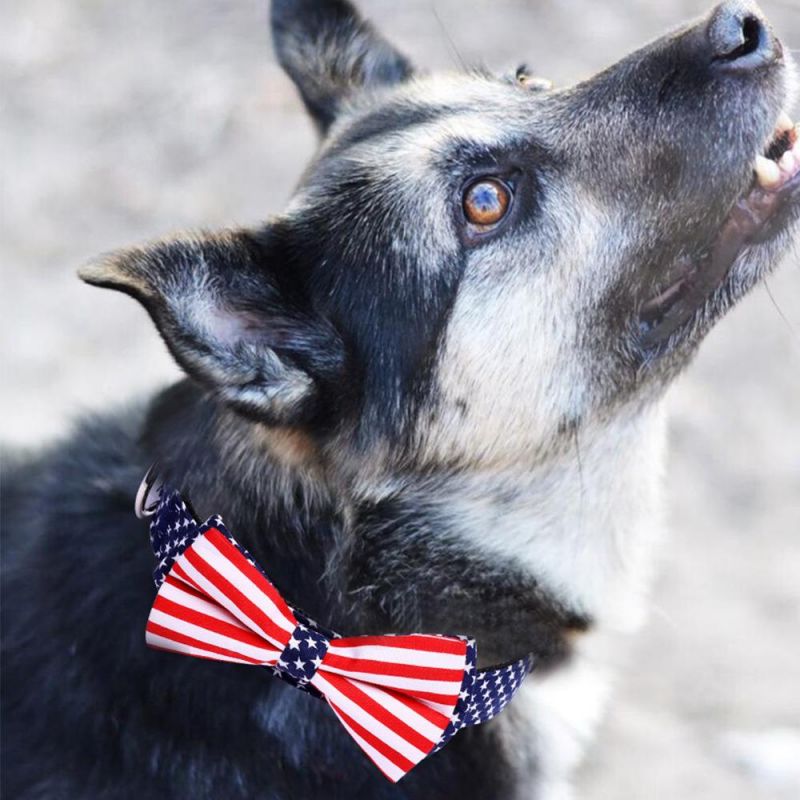 Heavy Duty Clip Buckle Pet Collar, National Flag Style Detachable Adjustable Bow Tie Dog Collar//