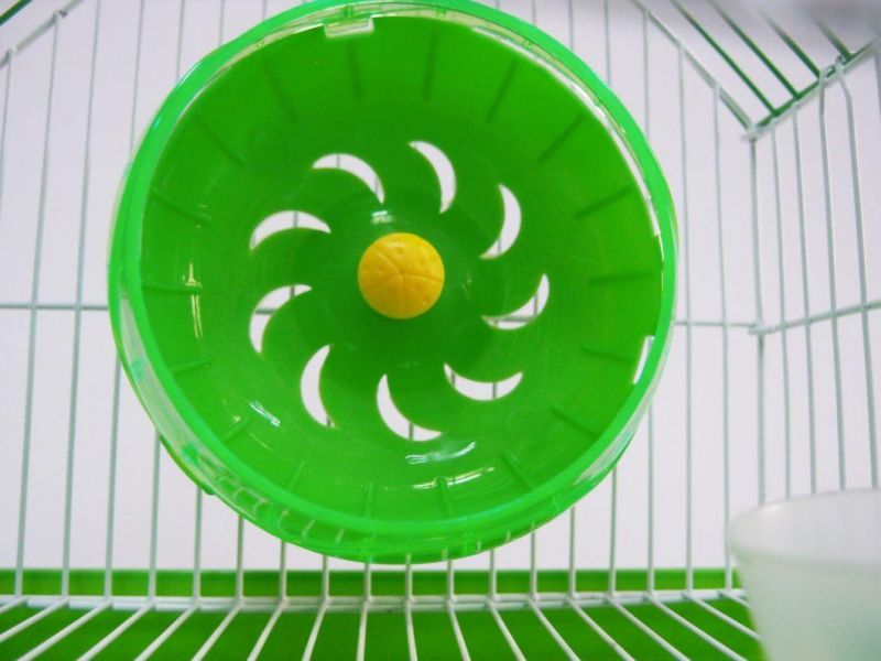 in Stock OEM ODM Metal Plastic Rabbit Cage Pet Supplies Pet Hamster Cage