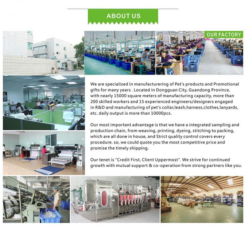 Nylon Material Printing OEM Factory Traingle Dog Harness, Leash, Bowtie