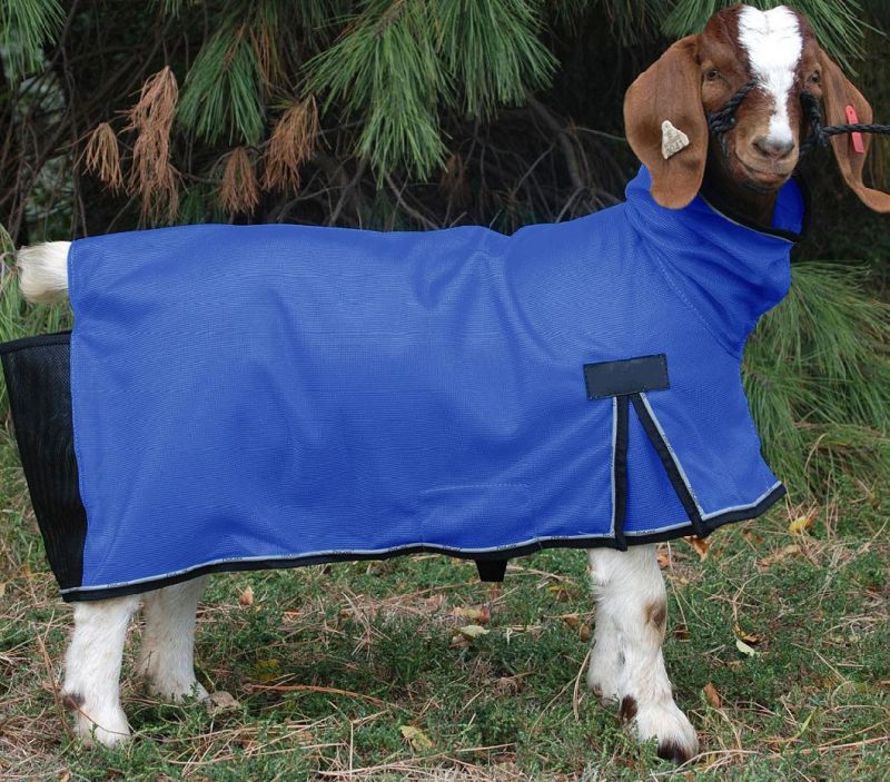 Procool Mesh Goat Blanket