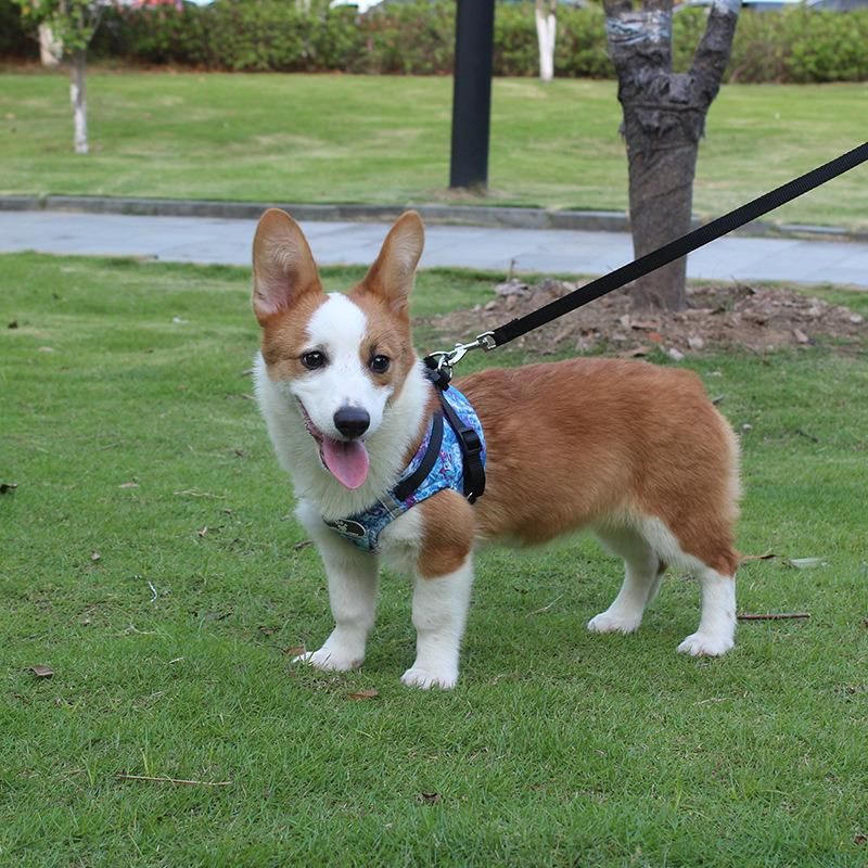 Pet Collar and Leash Reflective Dog Vest Type Traction Leash Collar Leash Rope Running Walking Safe Night Pet Products Harness